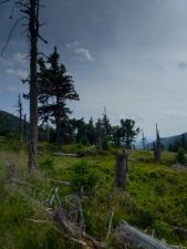 Červenohorsk&eacute; sedlo