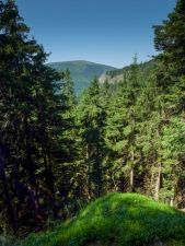 Červenohorsk&eacute; sedlo