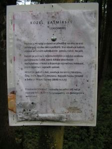  Podzimní sraz Batelov 2014, foto VFRostak