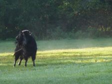 Podzimní sraz 2014 - Batelov