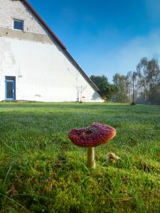 Podzimní sraz 2014 - Batelov