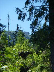  Orlí hnízdo a Rossfeld Panorama Strasse