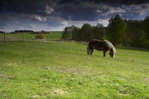 Stopětkou do Jižních Čech