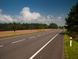 Stopětkou do Jižních Čech