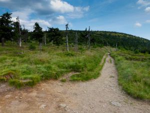 Červenohorsk&eacute; sedlo