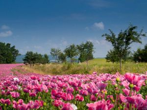 Stopětkou do Jižních Čech