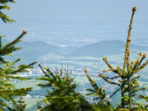 P1020961