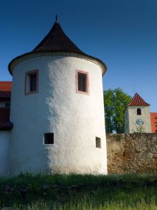 P1030863
