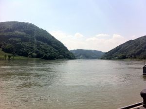 IMG_3826