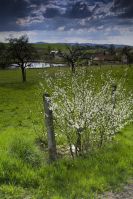 Stopětkou do Jižních Čech