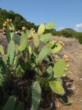 Korsika a Sardínie 2012