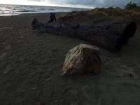 Číst dál: Korsika a Sardínie 2012