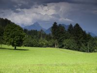 Číst dál: Mariazell červen 2012