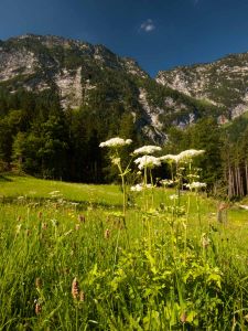  Orlí hnízdo a Rossfeld Panorama Strasse