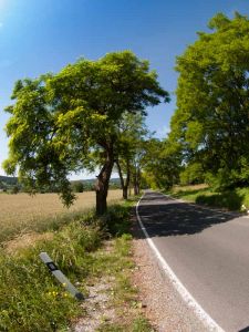 Stopětkou do Jižních Čech