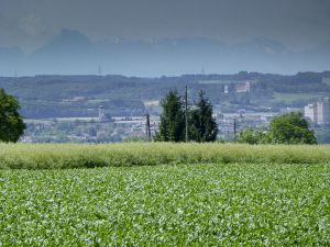 GrossGlockner červen 2012