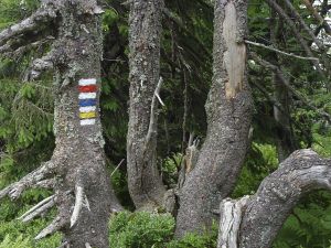 Jeseníky - Malá Morávka 2012