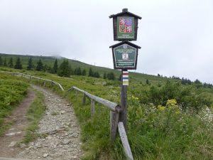 Jeseníky - Malá Morávka 2012