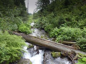 Jeseníky - Malá Morávka 2012