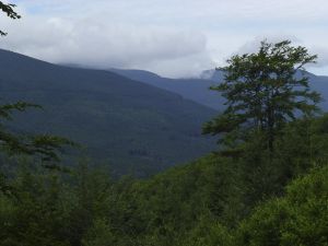 Jeseníky - Malá Morávka 2012