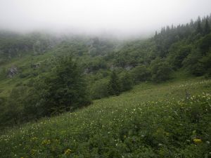 Jeseníky - Malá Morávka 2012