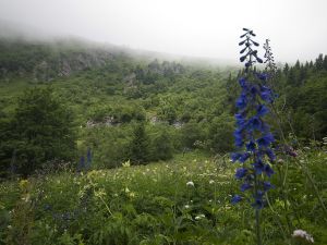 Jeseníky - Malá Morávka 2012