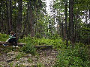 Jeseníky - Malá Morávka 2012