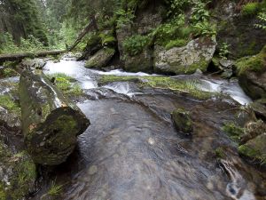 Jeseníky - Malá Morávka 2012