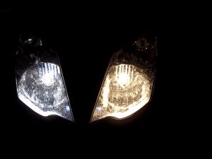 Modroočko - zlatoočko