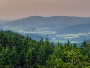 Červenohorské sedlo