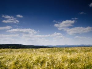 Stopětkou do Jižních Čech